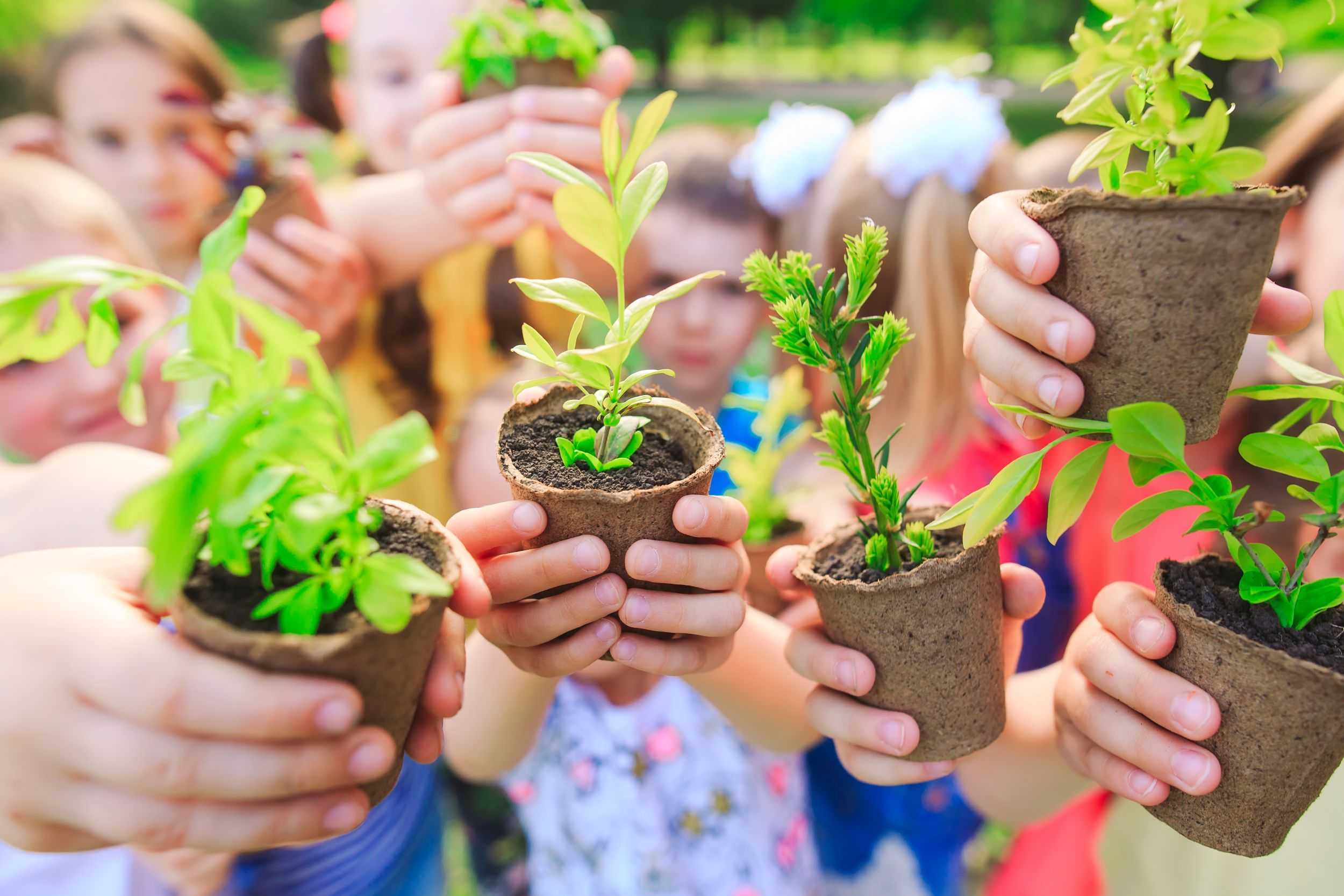 Wissenschaftsvermittlung Umwelt Nachhaltigkeit