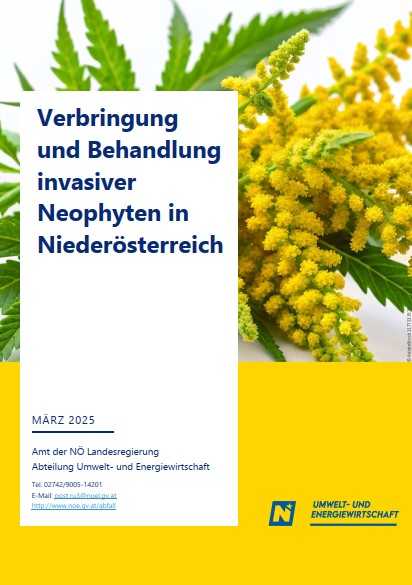 Leitfaden- Verbringung und Behandlung invasiver Neophyten c Land NÖ RU3 2025.jpg