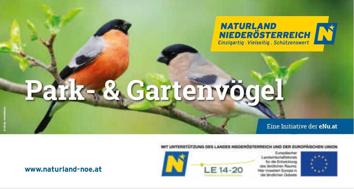 Bestimmungsfächer Park- u Gartenvögel_(c) eNu.jpg