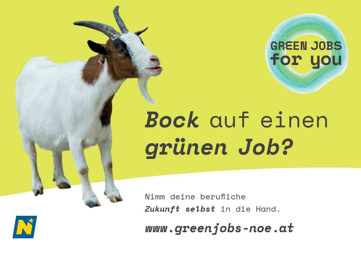 Bock auf einen grünen Job_Green Jobs NOE (002).jpg