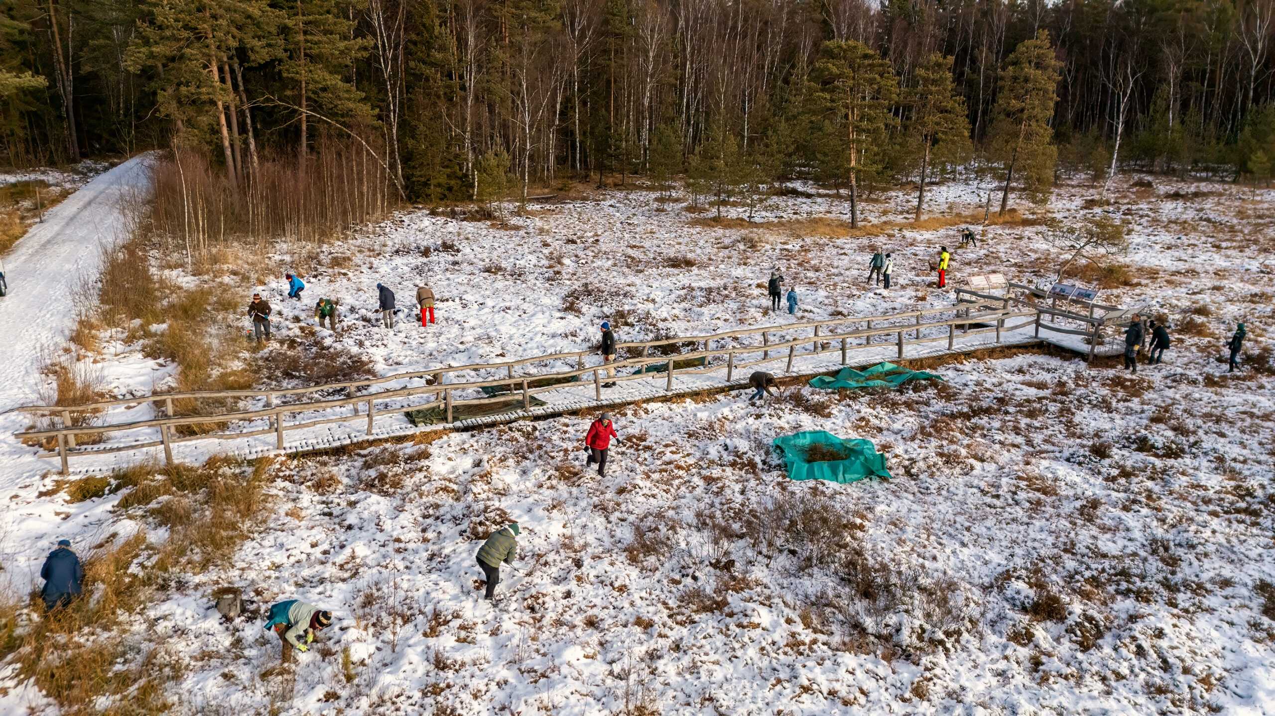 Heidenreichsteiner Moor_Moorrenaturierung_c_Wolfgang Dolak_1.jpg